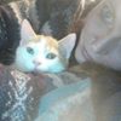 Merel  zoekt een Huurwoning / Kamer / Appartement in Amersfoort