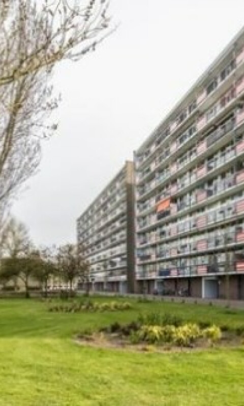 Trekvogelweg